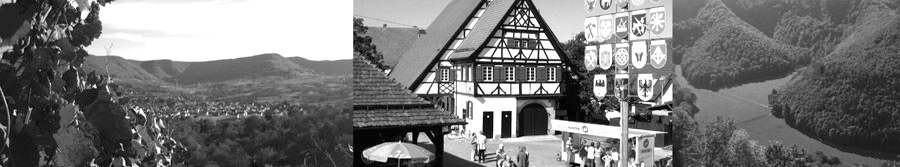 Sibylle Mutschler - Steuerberater in Metzingen